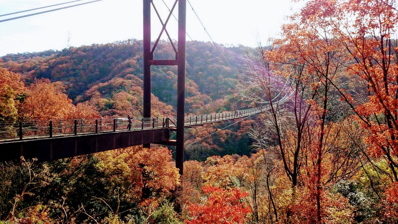 Hoshida-Park-Suspension-Bridge