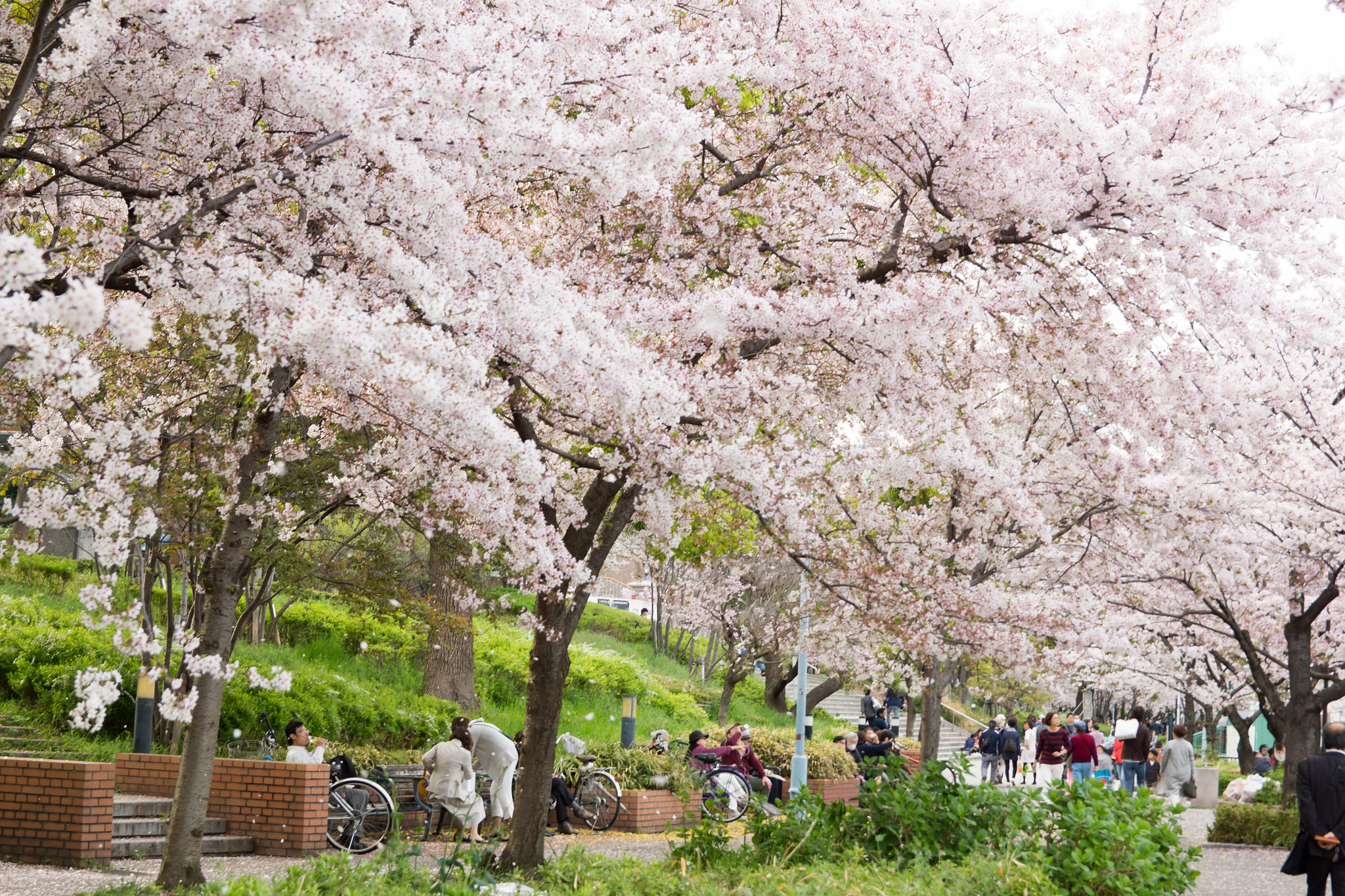 osaka-castle