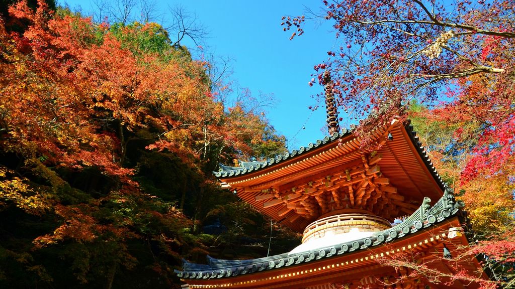 daiitoku-ji-autumn