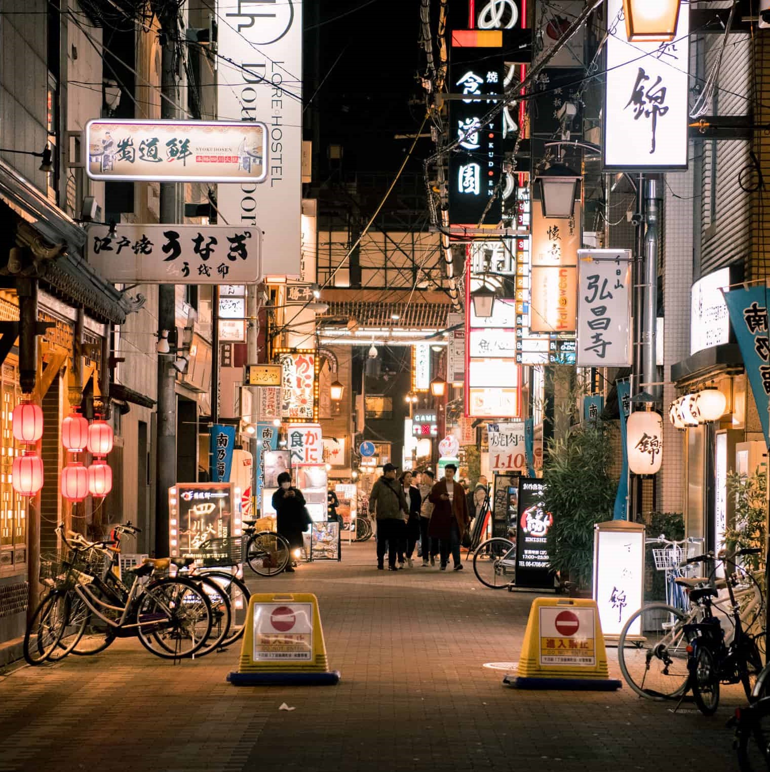 Osaka Backstreet Night Tour